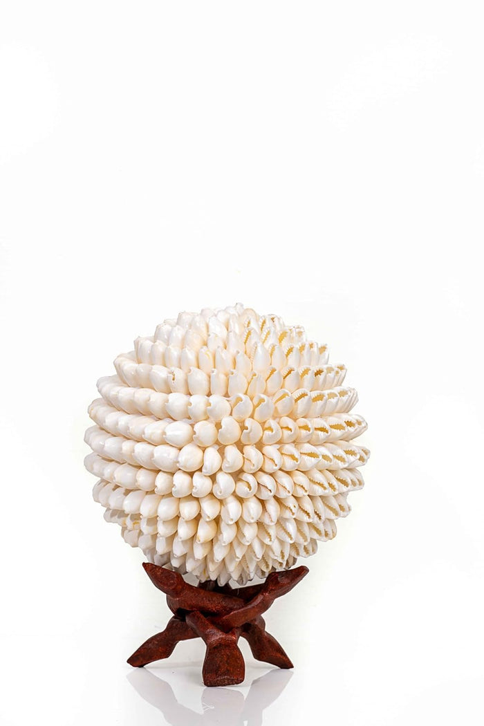 The Shell Shop & Co White Seashell Ball - Coastal Decor